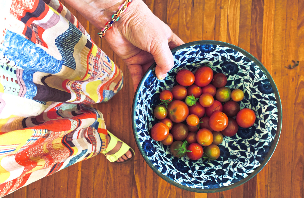 Tomato season in my garden