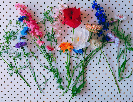 Flowers from my garden